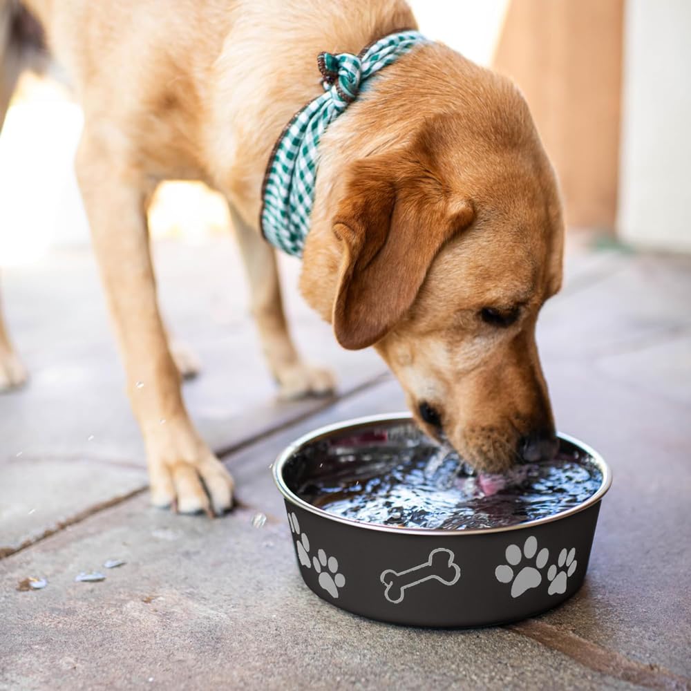 Loving Pets Bella Bowl Dog Bowl, Medium, 750 ml, Espresso