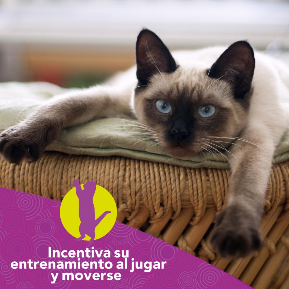 Fancy Pets Esferas de Catnip para Gato 3 Piezas de Catnip Natural para Juego Estimulación y Enriquecimiento Ambiental