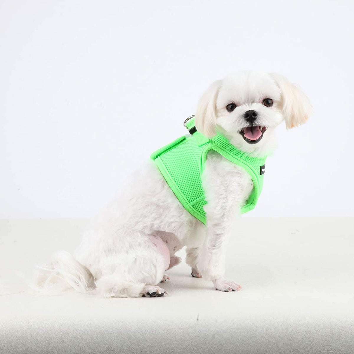 Puppia Authentic Neon Soft Vest Harness B, Verde, Pequeño