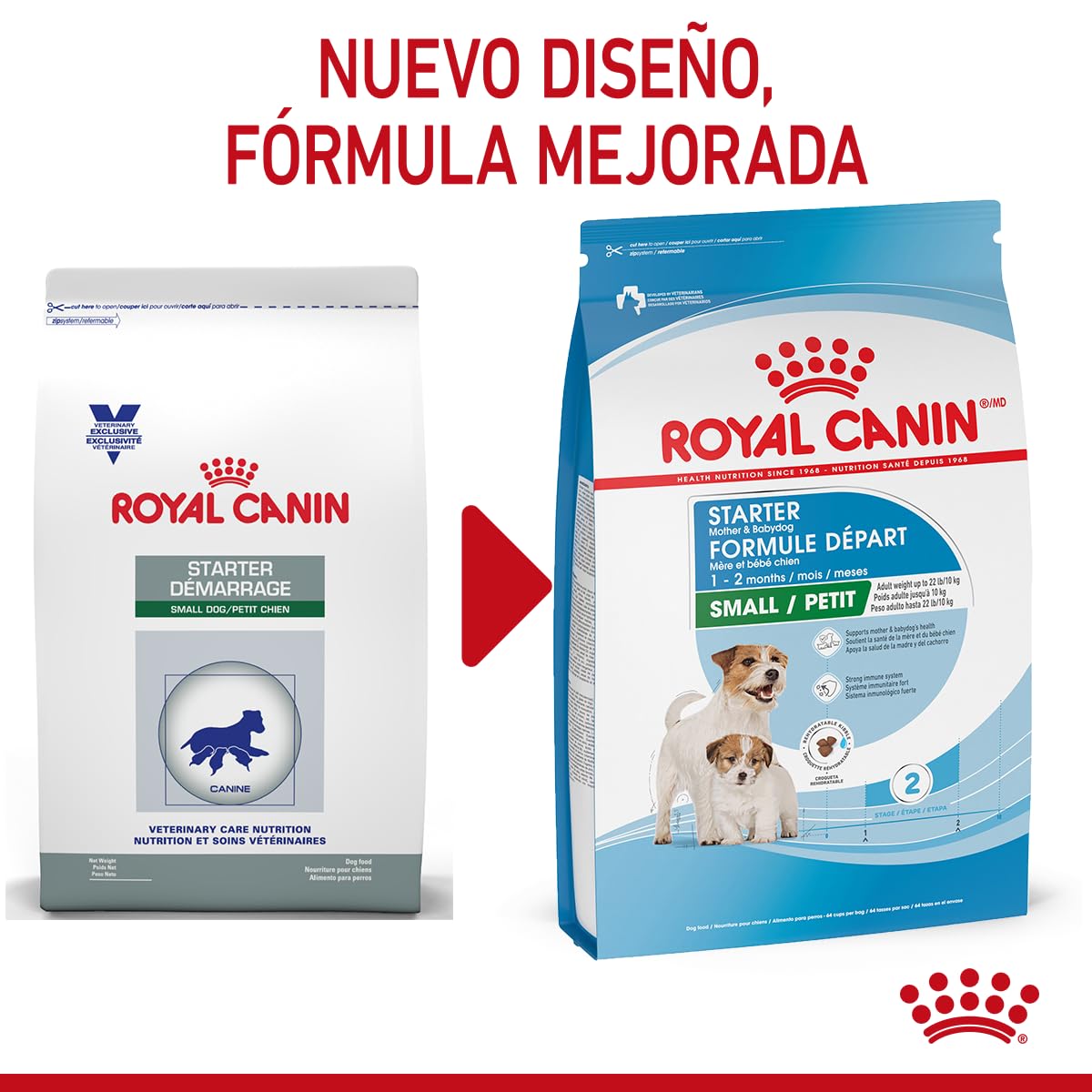 ROYAL CANIN - Croquetas para Cachorro, Starter Puppy 6.36 Kg