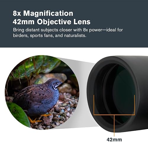 Celestron – Outland X 8x42 – Waterproof & Fogproof – for Adults – Multi-Coated Optics and BaK-4 Prisms – Protective Rubber Armoring