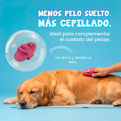 Fancy Pets MS Kit de Limpieza Básica para Perros con Limpiador de Oídos 125 ml, Toallitas para Ojos 80 pzas, Toallitas Húmedas 40 pzas, Removedor de Pelo y Shampoo Nutritivo 250 ml