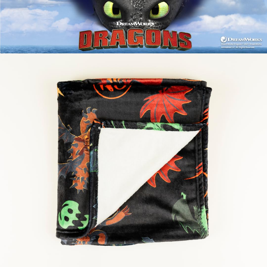 Franco How to Train Your Dragon - Ropa de Cama para niños sin Dientes súper Suave y acogedora, 46 x 60 Pulgadas, (Producto con Licencia Oficial)