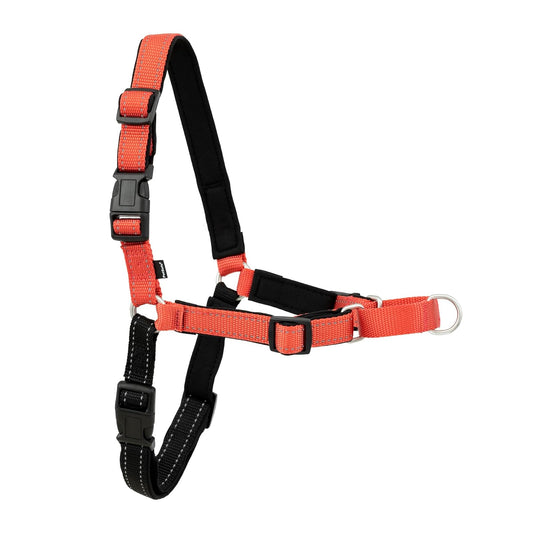 PetSafe Arnés de lujo para perro Easy Walk – Bucle Martingale con anillo en D para tirar, ayuda para entrenar y comportamiento, reflectividad mejora la visibilidad en condiciones de poca luz, acolchado cómodo, rosa/negro, M/L