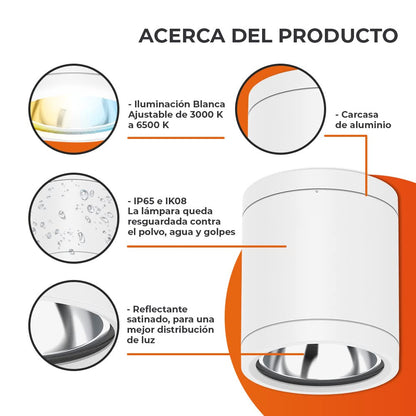 Tecnolite Lámpara Plafón LED de Sobreponer 15 W, Luz Blanca Configurable, IP65, IK08, Interior y Exterior, LED integrado