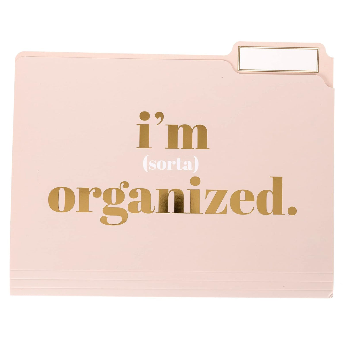 Graphique Designer "I'm Busy" - Carpetas de archivos | Juego de 9 (3 diseños), organizadores de tamaño carta, suministros de oficina decorativos | Cartulina recubierta duradera, Letras de lámina