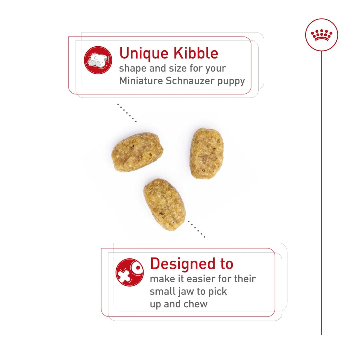 ROYAL CANIN, Puppy - Mini Schnauzer, Croquetas Perro, 1.1kg