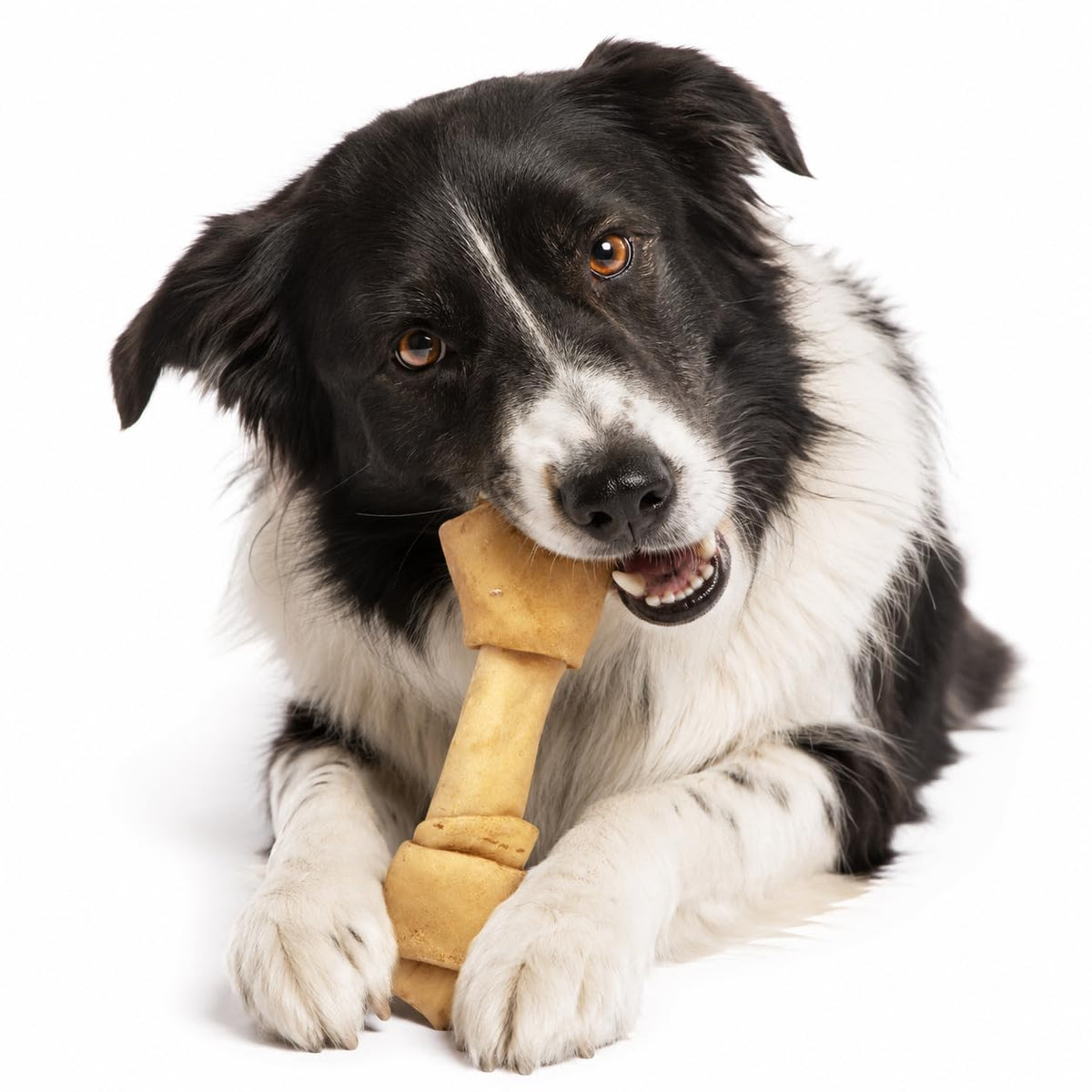 Fancy Pets Carnaza en Forma de Hueso Natural para Perro Tamaño 7-8 Centímetros, 1 Pieza
