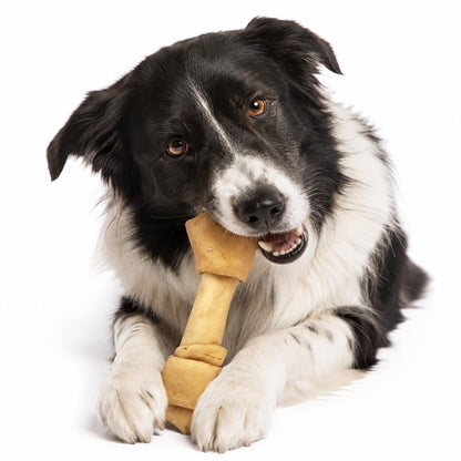Fancy Pets Carnaza en Forma de Hueso Natural para Perro Tamaño 7-8 Centímetros, 1 Pieza