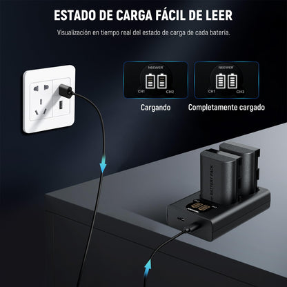 NEEWER Pack de 2 2200mAh LP-E6P/LP-E6NH/LP-E6N/LP-E6 Baterías Repuesto Cargador USB Doble Vertical con Pantalla LCD para EOS R5 Mark II EOS R5 EOS R6 EOS R7 EOS R 5D II III IV 6D 6D II 7D 7D II 60D