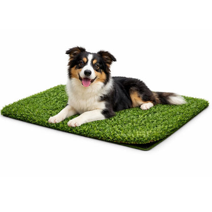 Fancy Pets Repuesto de Pasto Sintético para Tapete Doggie Grass, Antimicrobiano - GDE