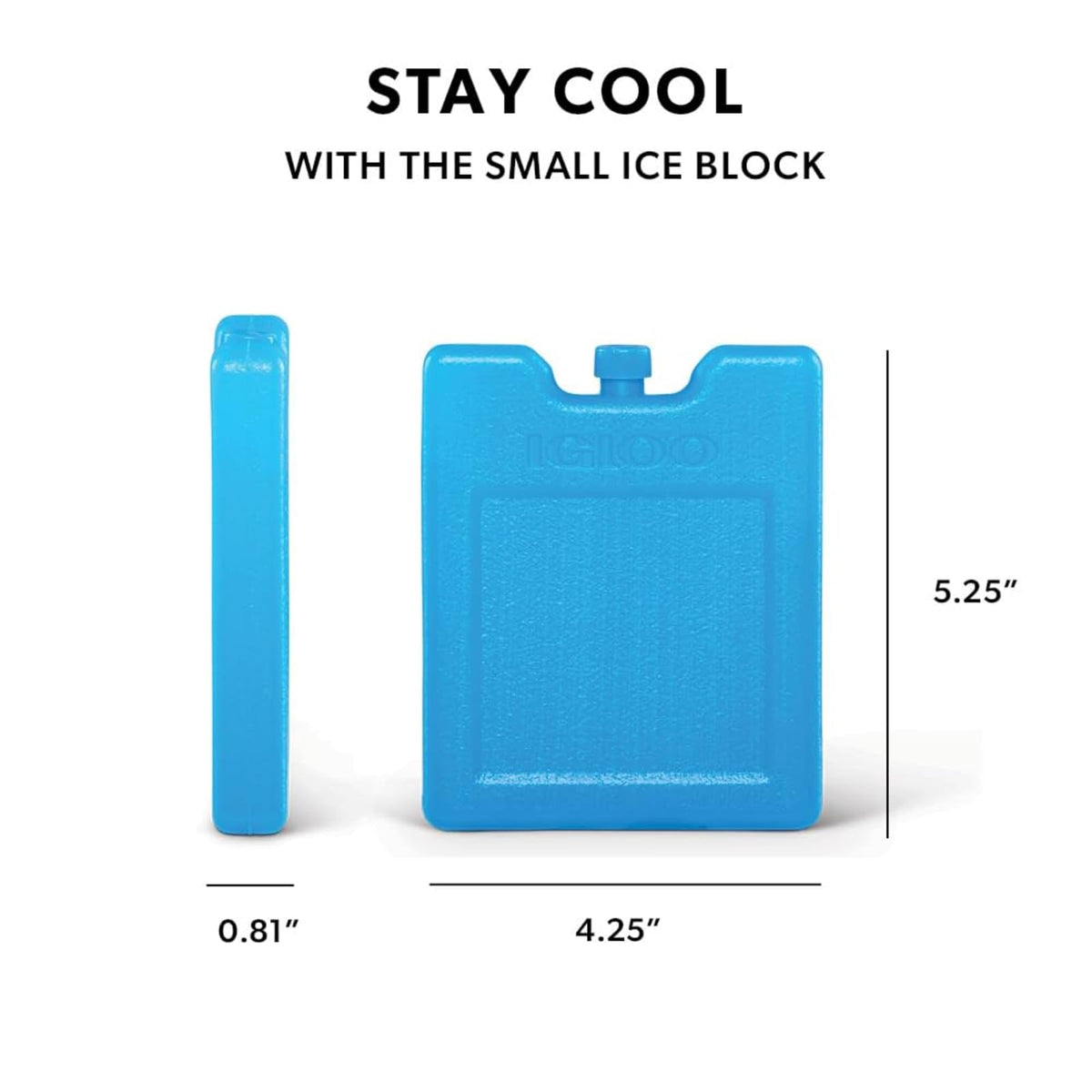 Igloo Maxcold - Bloque de Hielo pequeño, Paquete de 2, Color Azul