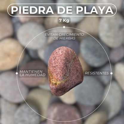 PISUMMA Piedra de Playa Gris 1" a 2" - Presentación 7 kg - Piedra Decorativa Natural para Jardín, Macetas, Peceras y Paisajismo