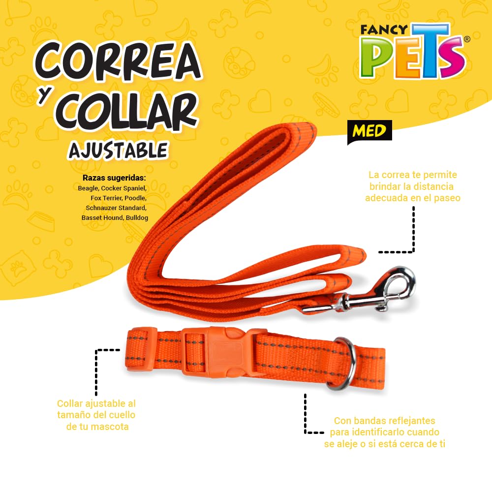 Fancy Pets Correa y Collar Ajustables para Perro Tamaño Mediano con Bandas Reflejantes Varios Colores