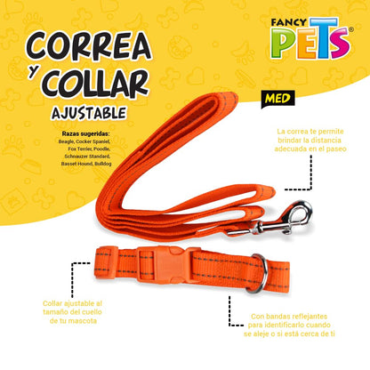 Fancy Pets Correa y Collar Ajustables para Perro Tamaño Mediano con Bandas Reflejantes Varios Colores