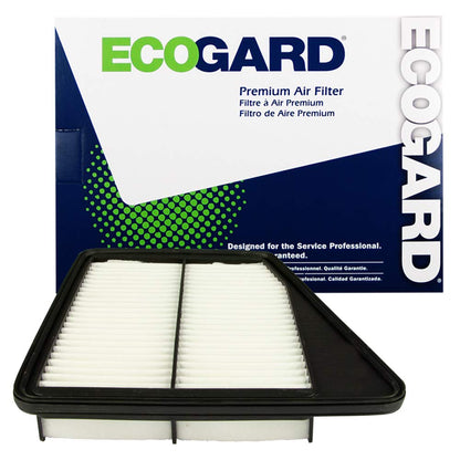 EcoGard XA11681 Filtro de Aire Premium para Kia Stinger 2.0L 2018-2021/2.5L 2022, Genesis G70 2.0L 2019-2022