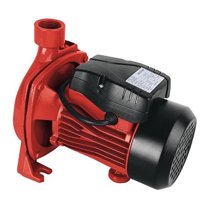 Igoto CPM146 D Bomba de Agua Centrífuga 3/4 HP 127V Bomba Eléctrica para Tinaco Cisterna Riego y Alberca Altura Máx. 28 m Flujo hasta 92 L/min Impulsor de Bronce Protección Térmica