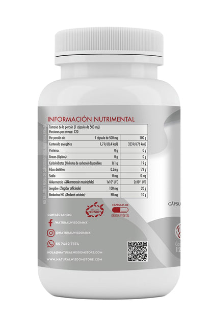 NW Probioticos GLP-1 Akkermansia Muciniphila1 Billon UFC con Jengibre & Berberina HCl, 120 capsulas | Antiinflamatorio