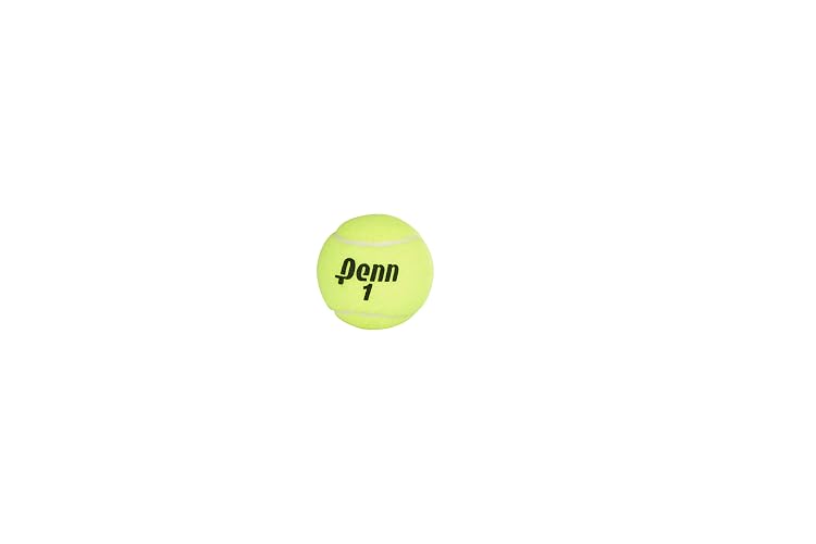 Penn Championship™ Pelotas de Tenis de Uso Regular (Paquete 12)