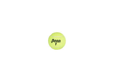 Penn Championship™ Pelotas de Tenis de Uso Regular (Paquete 12)