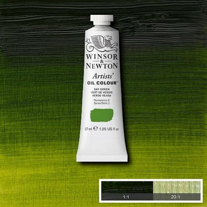 Winsor & Newton Artists' Pintura de Óleo, Verde (Sap Green), 37 ml
