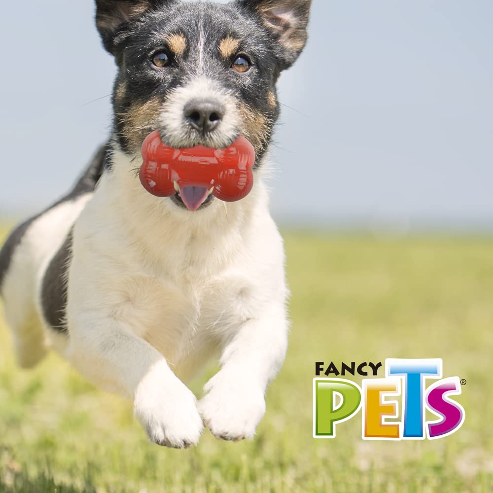 Fancy Pets Juguete Hueso Xtreme para Perros Chicos de Goma Resistente y Flotante