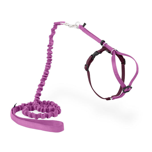PetSafe Come with Me - Arnés de Gatito y Correa elástica, arnés para Gatos, NA, Rosa DE PULSERO/Burgundy, Mediano