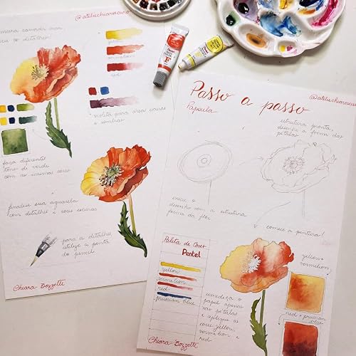 Pentel Arts Acuarelas, Colores Vívidos, Estuche con 24 Piezas, WFRS-24
