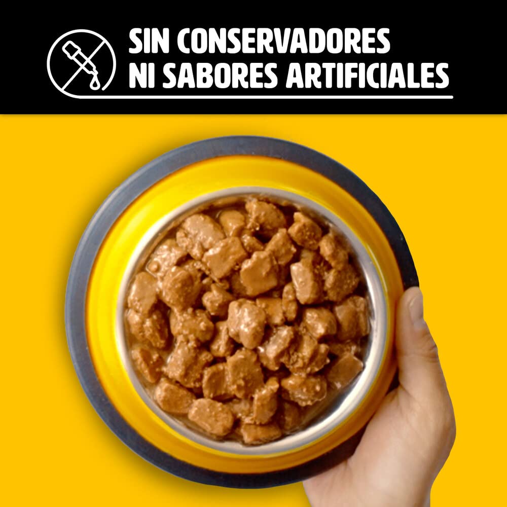 Pedigree - High Protein Alimento para Perro Adulto, 24 Sobres, Sabor Cerdo y Res, 85g c/u, con Proteína, Antioxidantes y Vitamina E