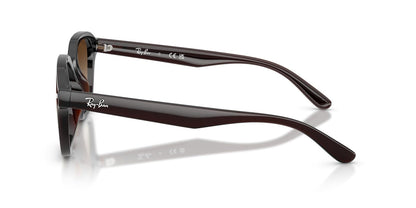 Ray-Ban Rb4458d Sunglasses Unisex
