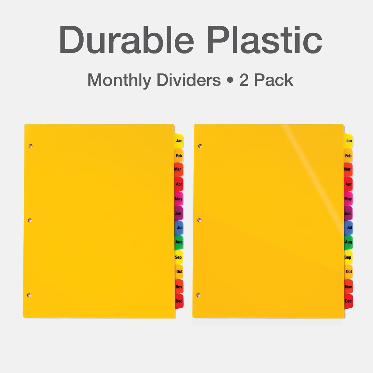 Oxford - Divisores mensuales de plástico para carpetas de 3 anillos, 12 pestañas preimpresas multicolores, enero a diciembre, tamaño carta, paquete de 2 (89608)