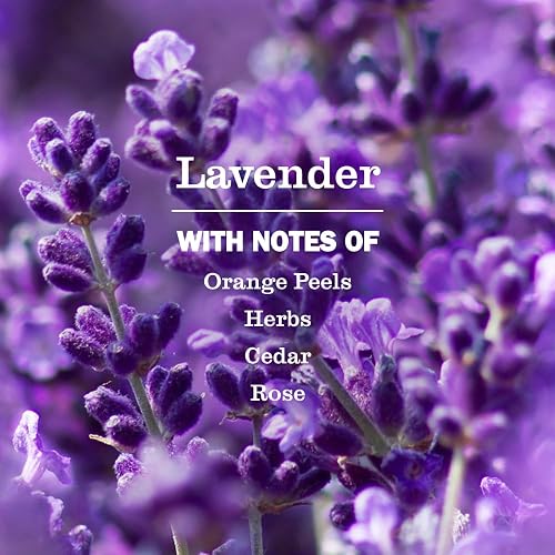 Vela de aromaterapia de soja de Mrs. Meyer, 35 horas de combustión, lavanda, 7.5 onzas