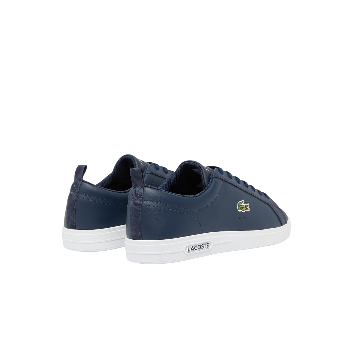 Lacoste Court Base - Tenis para Hombre | Zapatos casuales