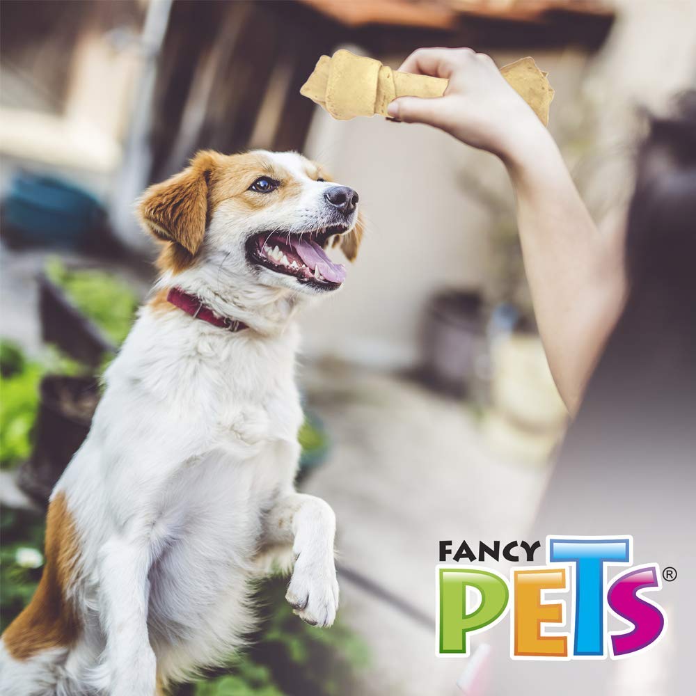 Fancy Pets Carnaza en Forma de Hueso Natural para Perro Tamaño 7-8 Centímetros, 1 Pieza