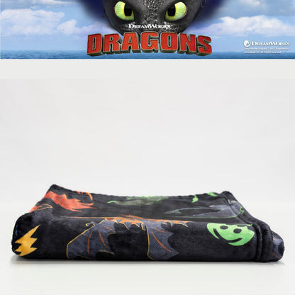 Franco How to Train Your Dragon - Ropa de Cama para niños sin Dientes súper Suave y acogedora, 46 x 60 Pulgadas, (Producto con Licencia Oficial)