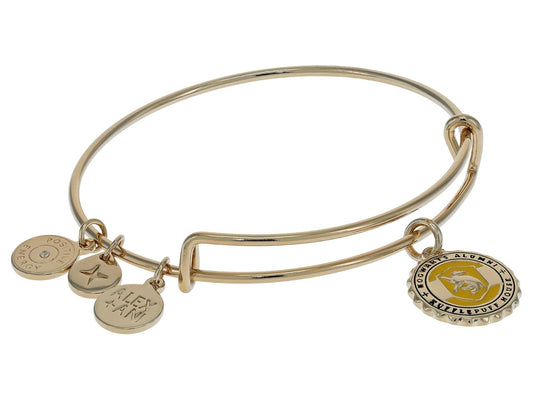 Alex and Ani Harry Potter, Hufflepuff House - Pulsera con colgante grabable