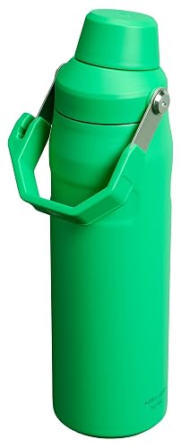 Stanley IceFlow Aerolight FastFlow - Botella de agua de 24 onzas (caja)