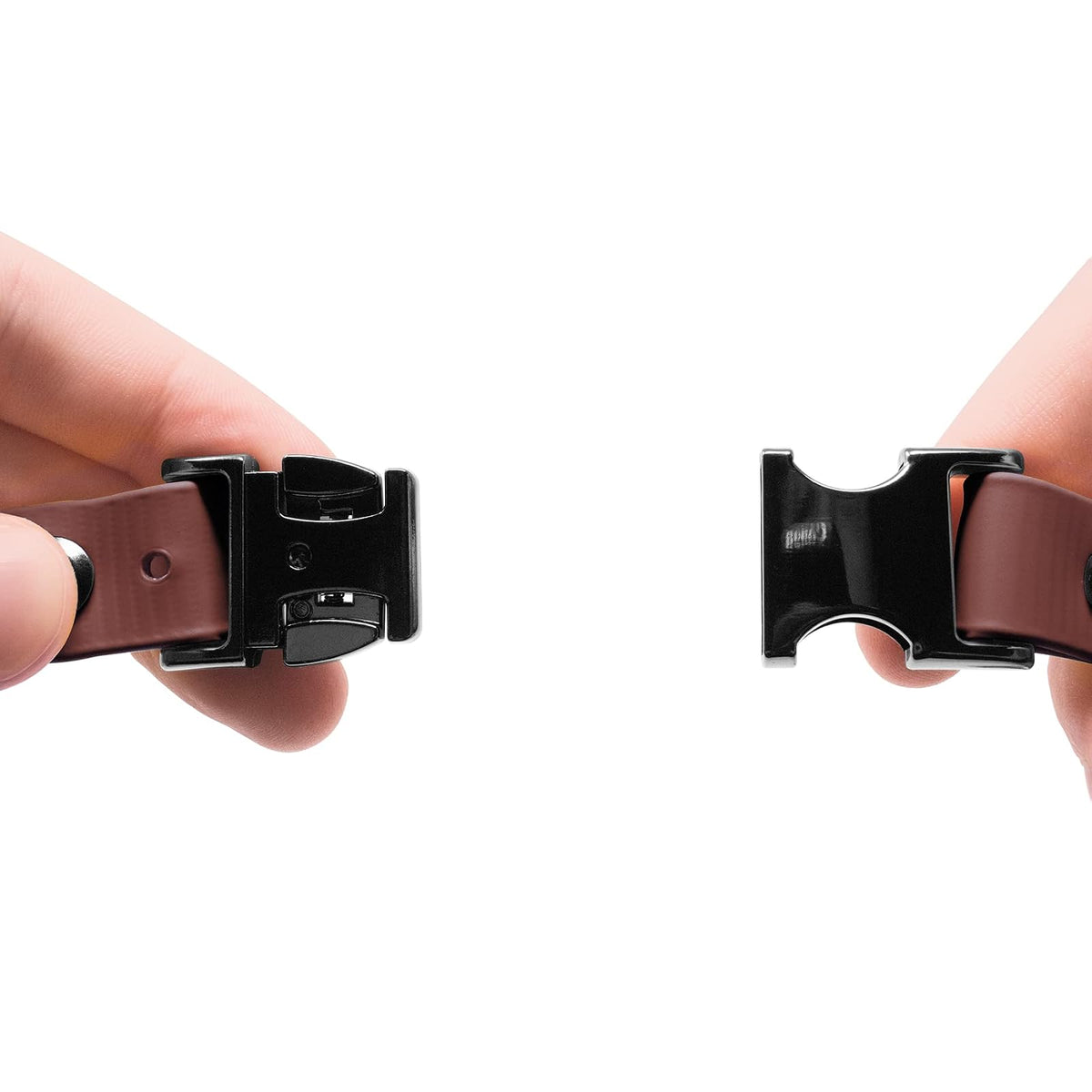 Educator - Collar de Perro elástico a presión rápida, biothano, Impermeable, Resistente al Olor, Cierre fácil de conectar y desconectar y Anillo en D con Lazo elástico cómodo, Ajustable para Ajuste