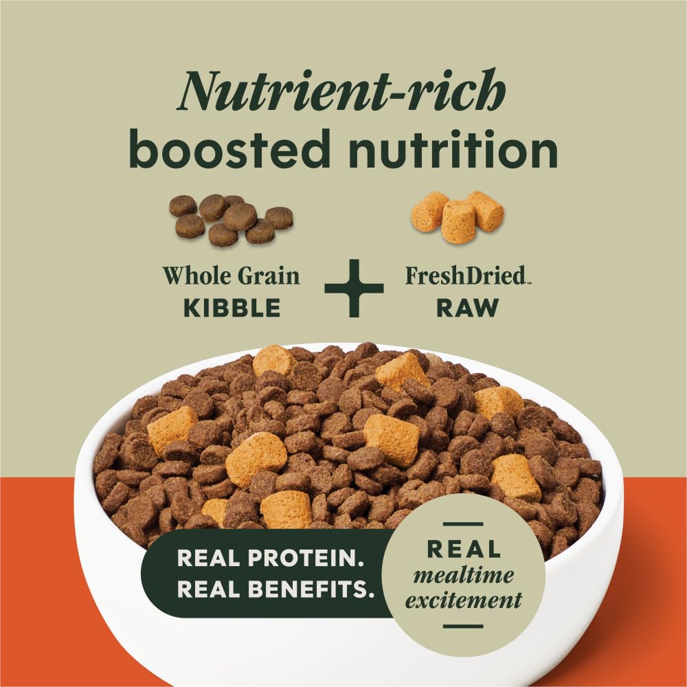 Instinct Raw Boost Gut Health Alimento Perro Pollo Salud Digestiva 18lb