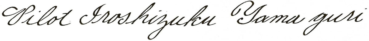 Pilot Iroshizuku Tinta para Pluma Fuente, Marrón (Yama-Guri), 50 ml