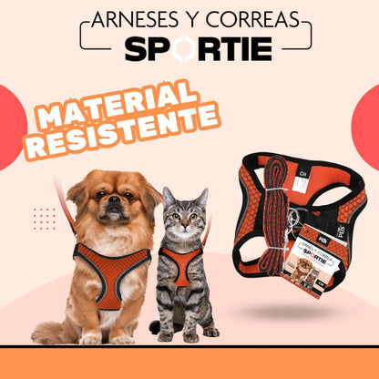 Fancy Pets Set con Arnés Y Correa Sportie para Perro Tamaño Chico Color Naranja