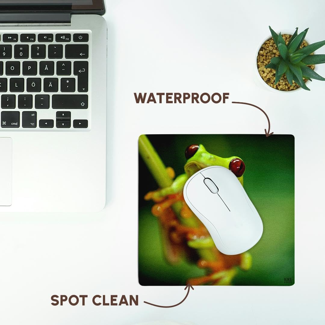 3dRose 8 x 8 x 0.25 Inches Mouse Pad, Green Tree Frog on a Twig (mp_10387_1)