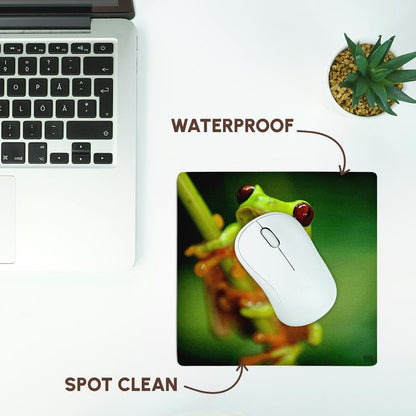 3dRose 8 x 8 x 0.25 Inches Mouse Pad, Green Tree Frog on a Twig (mp_10387_1)