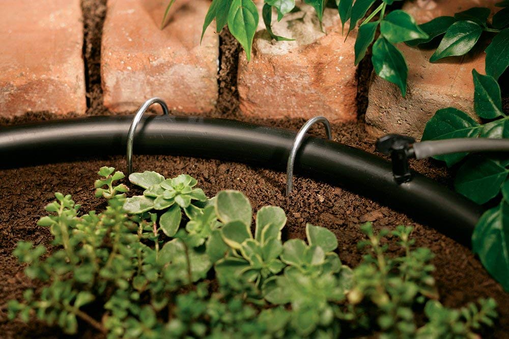 Orbit Drip Irrigation Tubing Stakes - 1/2", 5/8" Tube - 10 Pack