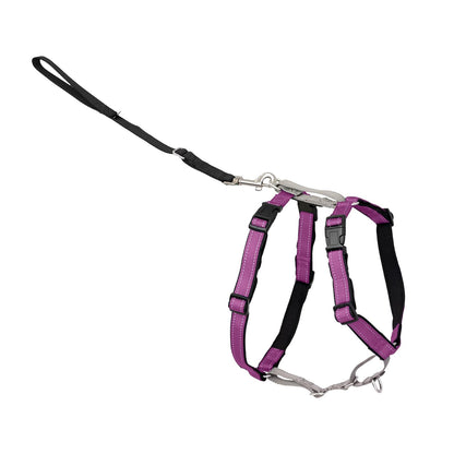 PetSafe Arnés para Perro 3 en 1, Sin Tirones, Reflectante - Ciruela - Medium