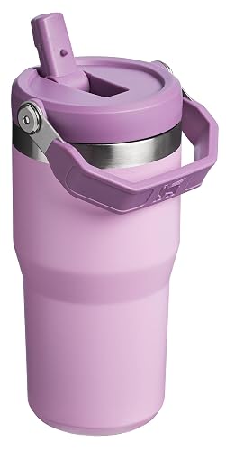 Stanley IceFlow - Vaso de acero inoxidable – Botella de agua aislada al aspiradora para el hogar, la oficina o el automóvil, taza reutilizable con popote resistente a fugas, tapa fría durante 12 horas o