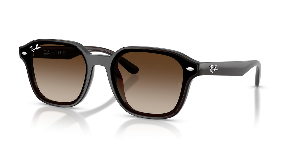 Ray-Ban Rb4458d Sunglasses Unisex