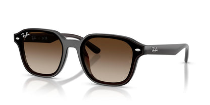 Ray-Ban Rb4458d Sunglasses Unisex