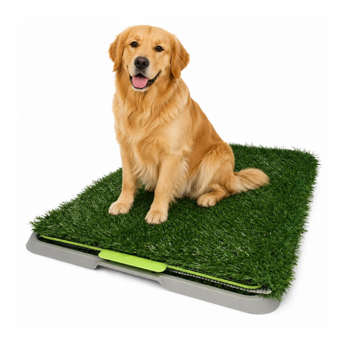 Tapete de entrenamiento Doggie Grass Fancy Pets, pasto sintético con bandeja y rejilla - GDE