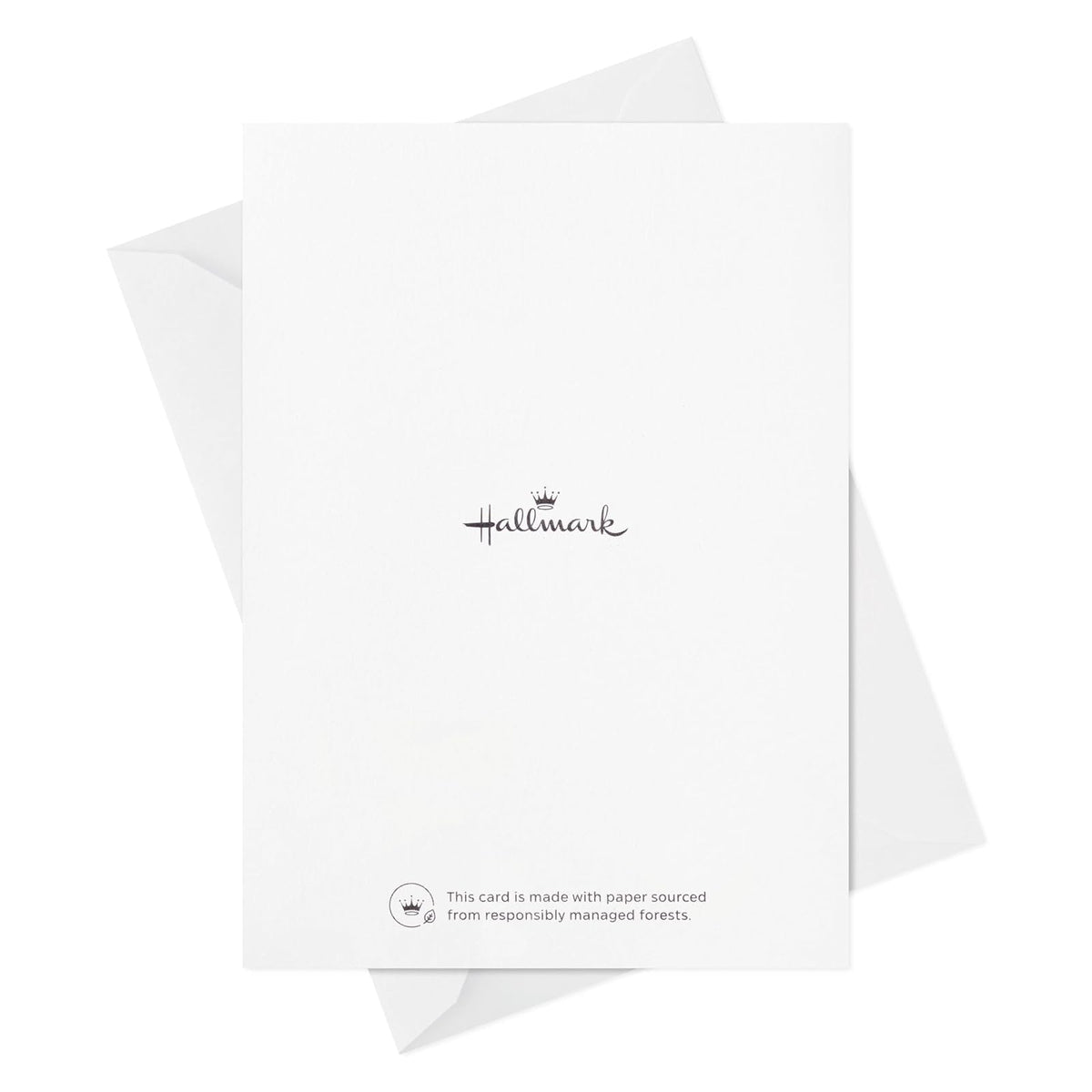 Hallmark Surtido de tarjetas en blanco, flores pintadas (48 tarjetas con sobres)
